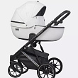 Детская коляска Riko Basic Montana Premium Silver 2 в 1 Детская коляска Riko Basic Montana Premium Silver 2 в 1 - Фото