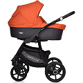 Детская коляска Riko Basic Bella 3 в 1 Детская коляска Riko Basic Bella 3 в 1 (10 Серый - Красный
) — Фото