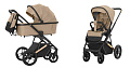 Детская коляска Carrello Sigma CRL-6509 2 в 1 Детская коляска Carrello Sigma CRL-6509 2 в 1 (Ivory Beige
) — Фото